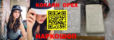 шишки Аргун