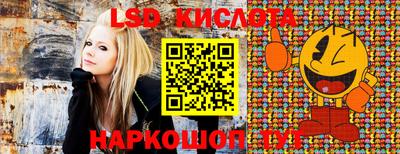 MDMA Premium VHQ Камышлов