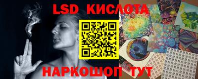 СК Кандалакша