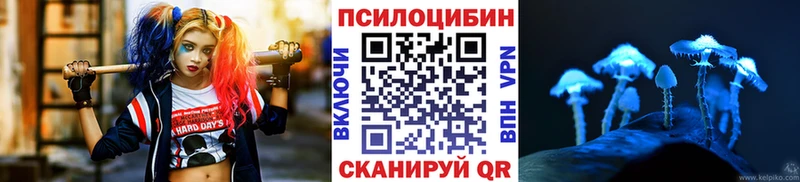 Галлюциногенные грибы Magic Shrooms площадка клад Солнечногорск хочу