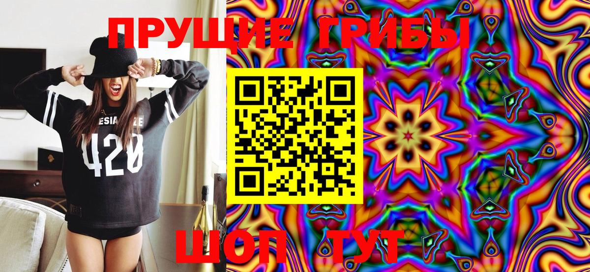 Псилоцибиновые грибы Cubensis Солнечногорск