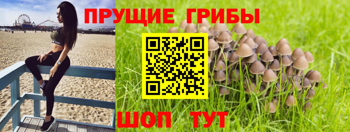 Галлюциногенные грибы мицелий  Солнечногорск 