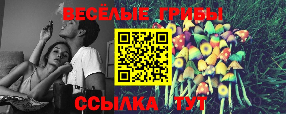 Галлюциногенные грибы MAGIC MUSHROOMS  Псилоцибиновые грибы мухоморы  Солнечногорск  Вход с VPN 